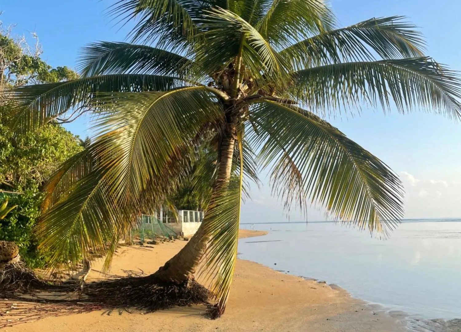 Windancer Beachfront Villa In Las Picuas Rio Grande 0*,  Puerto Rico