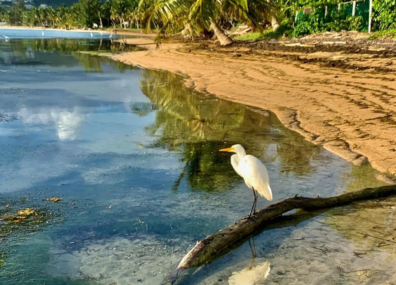 Windancer Beachfront Villa In Las Picuas Rio Grande