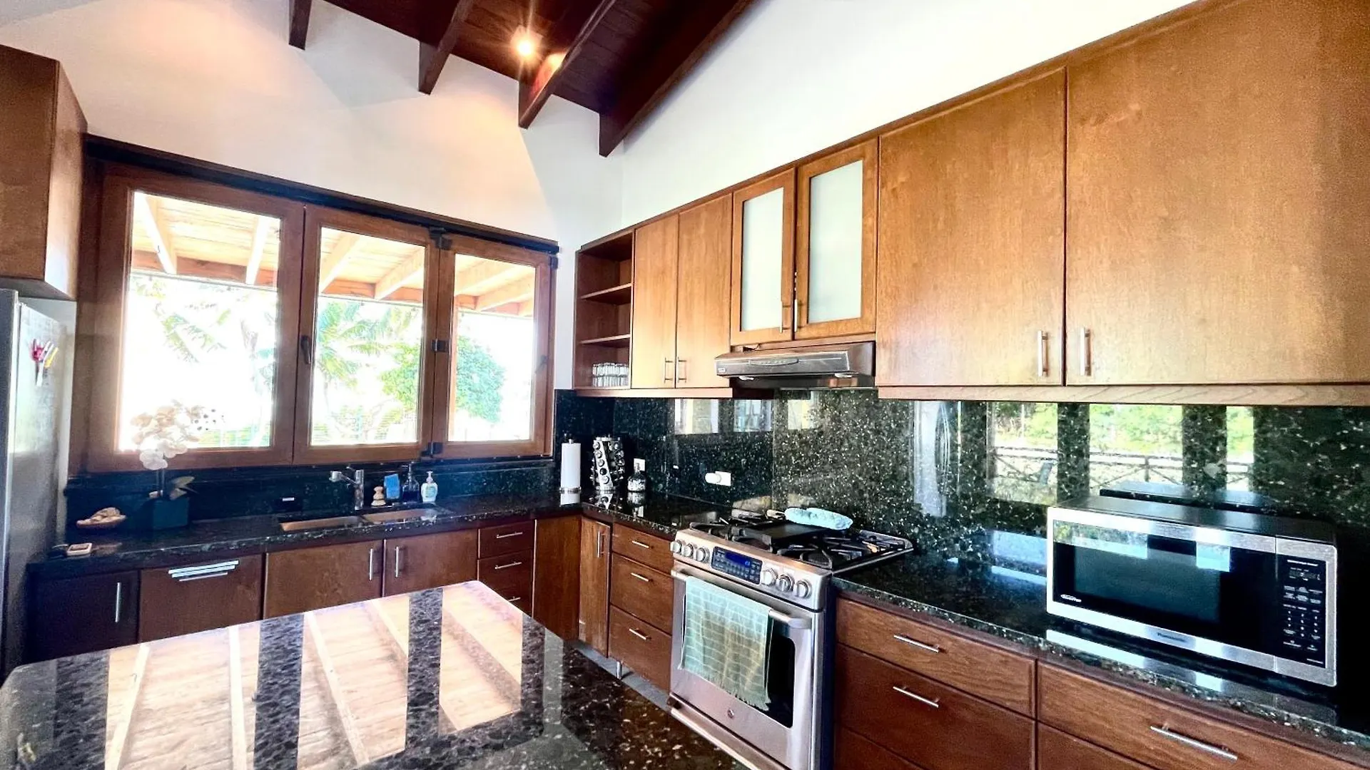 Windancer Beachfront Villa In Las Picuas Rio Grande Puerto Rico